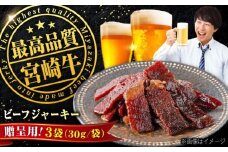 【京阪百貨店厳選】宮崎牛ビーフジャーキー100ｇギフト仕様 広島県福山市/株式会社京阪百貨店 宮崎牛 ビーフジャーキー 宮崎牛ジャーキー 牛肉ジャーキー おつまみ ビール 炙り ご飯のお供 [BAFZ005]
