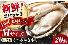 夏も冬もおいしい！厳選！広島産かき〈Mサイズ20個〉年中うまい！丹精込めた「うつみかき小町（殻付き）」【かき小町 牡蠣 カキ 殻付 焼き牡蠣バーベキュー蒸し牡蠣 魚介 海産物】広島県福山市/カネト海苔水産株式会社 [BAAQ008]