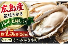 夏も冬もおいしい！厳選！広島産かき〈Mサイズ20個〉年中うまい！丹精込めた「うつみかき小町（殻付き）」かき小町 牡蠣 カキ 殻付 焼き牡蠣 バーベキュー 蒸し牡蠣 魚介 海産物 広島県福山市/カネト海苔水産株式会社 [BAAQ008]牡蠣 殻付き 殻付 殻 かき カキ 生牡蠣 広島牡蠣 オイスター カキフライ 魚介類 魚介 貝類 海鮮 広島県産 国産 産地直送 牡蠣 かき