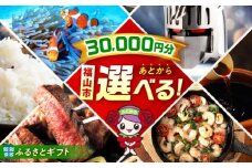 【あとから選べる】福山市ふるさとギフト 3万円分 ぶどう 寝具 ふとん ばら フルーツ  ギフト カタログ あとからセレクト グルメ 食品 お取り寄せ おつまみ 詰め合わせ [BAZZ003]