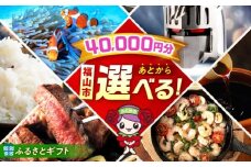 【あとから選べる】福山市ふるさとギフト 4万円分 ぶどう 寝具 ふとん ばら フルーツ  ギフト カタログ あとからセレクト グルメ 食品 お取り寄せ おつまみ 詰め合わせ [BAZZ004]