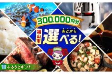 【あとから選べる】福山市ふるさとギフト 30万円分 ぶどう 寝具 ふとん ばら フルーツ  ギフト カタログ あとからセレクト グルメ 食品 お取り寄せ おつまみ 詰め合わせ [BAZZ012]