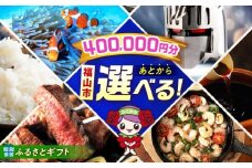 【あとから選べる】福山市ふるさとギフト 40万円分 ぶどう 寝具 ふとん ばら フルーツ  ギフト カタログ あとからセレクト グルメ 食品 お取り寄せ おつまみ 詰め合わせ [BAZZ013]