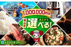 【あとから選べる】福山市ふるさとギフト 100万円分 ぶどう 寝具 ふとん ばら フルーツ  ギフト カタログ あとからセレクト グルメ 食品 お取り寄せ おつまみ 詰め合わせ [BAZZ015]