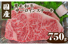 No.081 国産黒毛和牛サーロインステーキ　750g ／ 牛肉 霜降り 広島県 特産品