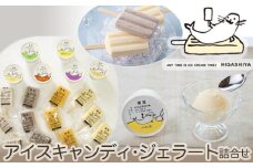 No.181 アイスキャンディ・ジェラート詰合せ ／ お菓子 デザート 懐かしの味 広島県