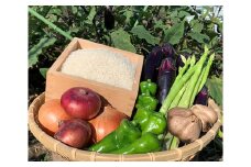 No.289 夏の農産物詰め合わせ約5kg ／ 米 野菜 黒にんにく 広島県 特産品