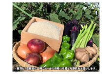 No.294 冬の農産物詰め合わせ約10kg ／ 米 野菜 黒にんにく 広島県 特産品