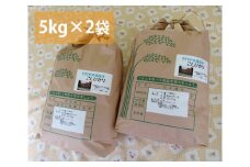 No.303 府中市の岳山清流米コシヒカリ　10kg ／ お米 精米 こしひかり 広島県 特産品