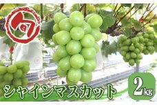 No.769 シャインマスカット 約2kg ／ 葡萄 ブドウ 果物 広島県 特産品
