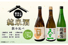 No.1035 【びんご圏域連携】備後の日本酒『純米酒』飲み比べセット ／ お酒 アルコール 神雷 天寶一 蘭の誉 贈り物 セット 広島県