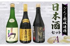 No.1040 【びんご圏域連携】日本酒 飲み比べセット 天寶一「中汲み大吟醸40」（福山市）・醉心山根本店「純米大吟醸生地 名誉醉心」（三原市）・中尾醸造「大吟醸まぼろし」（竹原市） ／ お酒 アルコール 贈り物 広島県