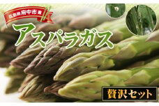 No.1088 アスパラガスの贅沢セット ／ 野菜 朝採れ 新鮮 贈り物 栄養 みずみずしい サラダ グリル 炒め物 広島県