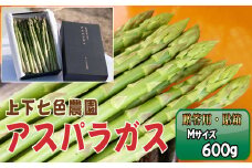 No.1090 上下七色農園贈答用アスパラガス　Ｍサイズ　貼箱（600g） ／ 野菜 新鮮 柔らか ジューシー お中元 贈り物 ご進物 広島県 特産品