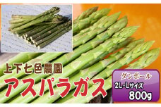 No.1091 上下七色農園 アスパラガス　2L・Lサイズ　ダンボール（800g） ／ 野菜 新鮮 柔らか ジューシー お中元 贈り物 ご進物 広島県 特産品