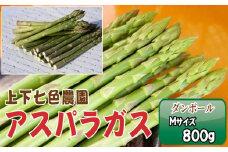 No.1092 上下七色農園 アスパラガス　Ｍサイズ　ダンボール（800g） ／ 野菜 新鮮 柔らか ジューシー お中元 贈り物 ご進物 広島県 特産品