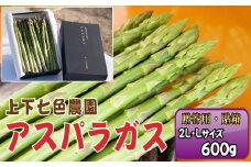 No.1093 上下七色農園贈答用アスパラガス　2L・Lサイズ　貼箱（600g） ／ 野菜 新鮮 柔らか ジューシー お中元 贈り物 ご進物 広島県 特産品