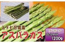No.1095 上下七色農園 アスパラガス　2L・Lサイズ　ダンボール（1.2kg） ／ 野菜 新鮮 柔らか ジューシー お中元 贈り物 ご進物 広島県 特産品