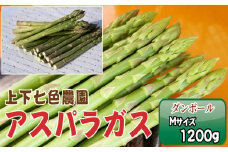 No.1096 上下七色農園 アスパラガス　Ｍサイズ　ダンボール（1.2kg） ／ 野菜 新鮮 柔らか ジューシー お中元 贈り物 ご進物 広島県 特産品