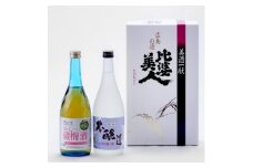 本醸造・梅酒セット(720ml×2本)【1202418】