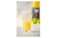テレビで紹介!白根りんご農園の100%りんごジュース(720ml×3本)【1202534】