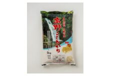 庄原市産高野こしひかり(精米・5kg)【1232671】