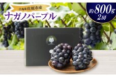 ＜先行受付＞ナガノパープル2房セット【1345435】
