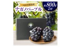 ＜先行受付 2026年発送＞ナガノパープル2房セット【1345435】