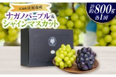 ＜先行受付＞ナガノパープル・シャインマスカット食べ比べセット【1465072】