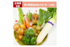＜毎週定期便＞道の駅たかのスタッフ厳選!庄原市産「旬」の野菜詰め合わせ(8～10点)全4回【4070050】