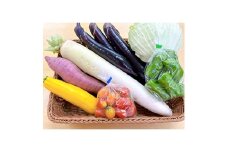 ＜毎週定期便＞道の駅たかのスタッフ厳選!庄原市産「旬」の野菜詰め合わせ(6～8点)全4回【4070050】