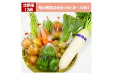 ＜毎週定期便＞道の駅たかのスタッフ厳選!庄原市産「旬」の野菜詰め合わせ(8～10点)全12回【4070051】