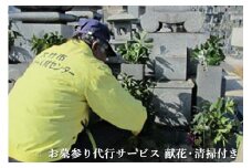 故郷はまかせて！お墓を代わりにお参り【お墓参り代行サービス 献花・清掃付き】[1436]