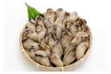 冷凍スチーム牡蠣 1kg｜蒸し牡蠣 冷凍 加熱用 かき カキ 大粒 1粒ずつ 急速冷凍 広島県産 むき身 剥き身 むきかき 殻むき不要 便利 人気 おすすめ 一年中旬の味 貝 シーフード オイスター 海産物 海鮮 魚介類 海の幸 海のミルク 濃厚 おおたけカキ 広島 大竹 玖波 宮島 瀬戸 国産 産地直送 [1880]