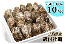オレの牡蠣アミスイ 殻付 牡蠣 10kg [1747]