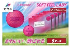 ダンロップ ゴルフボール スリクソン SOFT FEEL LADY《パッションピンク》[1944]