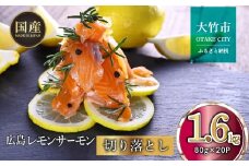 国産サーモン 切り落とし 1.6kg (80g×20P) 小分け 広島レモンサーモン｜国産 冷凍 刺身 切落し 広島県産 ふるさと納税 特産品 グルメ 鮭 サーモン レモンサーモン 魚 高級 広島 ギフト [1947]