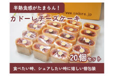 カドーレチーズケーキセット