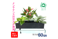せせらぎビオトープ　60cm型ろ過装置・縁なし水槽用（※水槽はついていません）