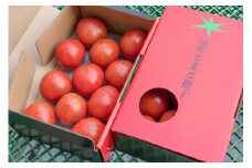【予約商品】アグライズ 別嬪とまと撫子 約2kg（約1kg箱×2）【配送時期：2月～3月】