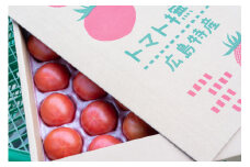 アグライズ トマト撫子 約4kg【配送時期：6月～12月】