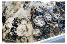【予約商品】牡蠣　広島　むき身牡蠣300ｇ＆殻付き牡蠣（８個～10個）　矢野水産【配送不可：離島】【配送時期：2026年1月上旬～2026年4月上旬】
