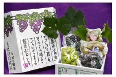 【予約商品】特選ぶどう4～5種おまかせ詰め合わせ(約２㎏)【配送時期：8月下旬～10月下旬】