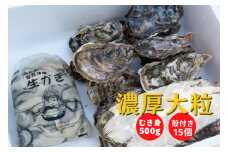 【予約商品】牡蠣 詰め合わせ 殻付き 15個 むき身 500g 広島県産 新鮮 全国配送  濃厚リピート【配送不可：離島】【配送時期：1月上旬～3月下旬】