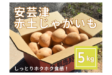 【予約商品】安芸津　赤土じゃがいも　５kg【配送時期：6月上旬～8月上旬／11月下旬～1月上旬】