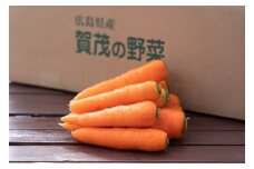 【予約商品】【広島県産 人参(10Kg)】野菜ジュースにも 甘い 農家直送 とれたて 新鮮【配送時期：11月上旬～2月下旬】
