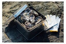 【予約商品】牡蠣　広島　カンカン焼き（30個入）　矢野水産【配送不可：離島】【配送時期：2026年1月上旬～2026年4月上旬】