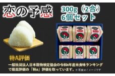 キューブ型 無洗米 恋の予感2合(300g)×6個セット ギフト 個包装 真空パック