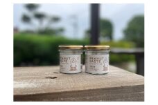 ピーナッツペースト　100g×2本　TUTITONE　無添加　栽培期間中農薬不使用落花生使用（※現在お届けまでに最大3ヶ月程頂いております。）