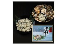 広島安芸津産　生牡蠣むき身1.0kg .殻付き牡蠣15個セット【配達不可：離島】【配送時期：2025年1月以降】